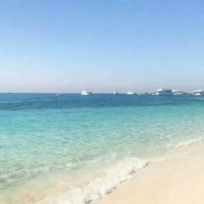 加拿大pc软件平台app下载