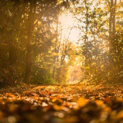 NG28下载地址官网