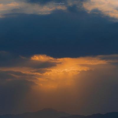 满堂彩下载手机版