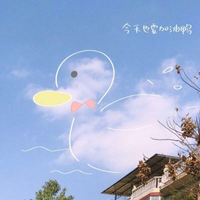 BET9登录APP手机app下载