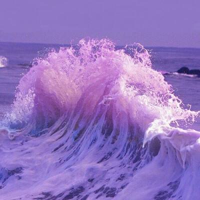 BET9登录APP手机app下载